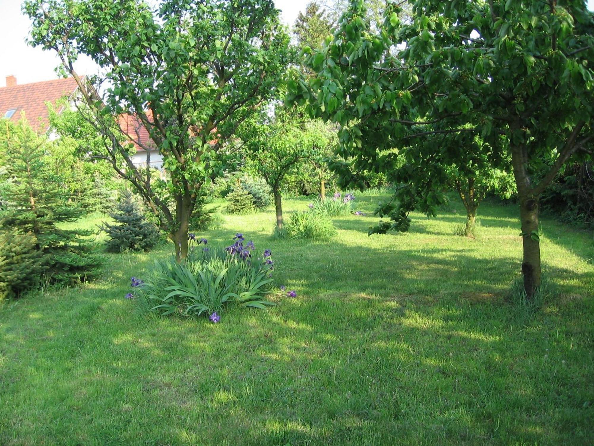 Pension Ovari Buk Exterior photo