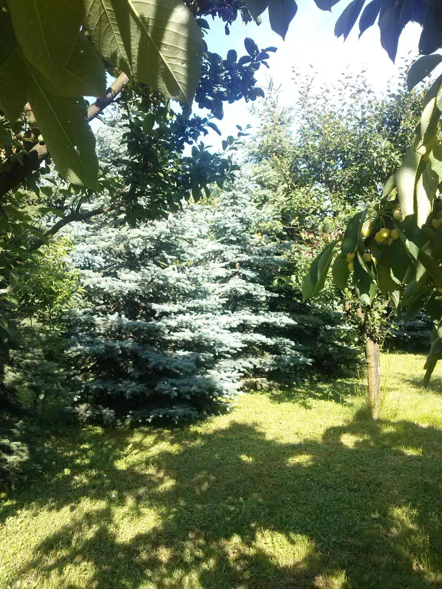 Pension Ovari Buk Exterior photo