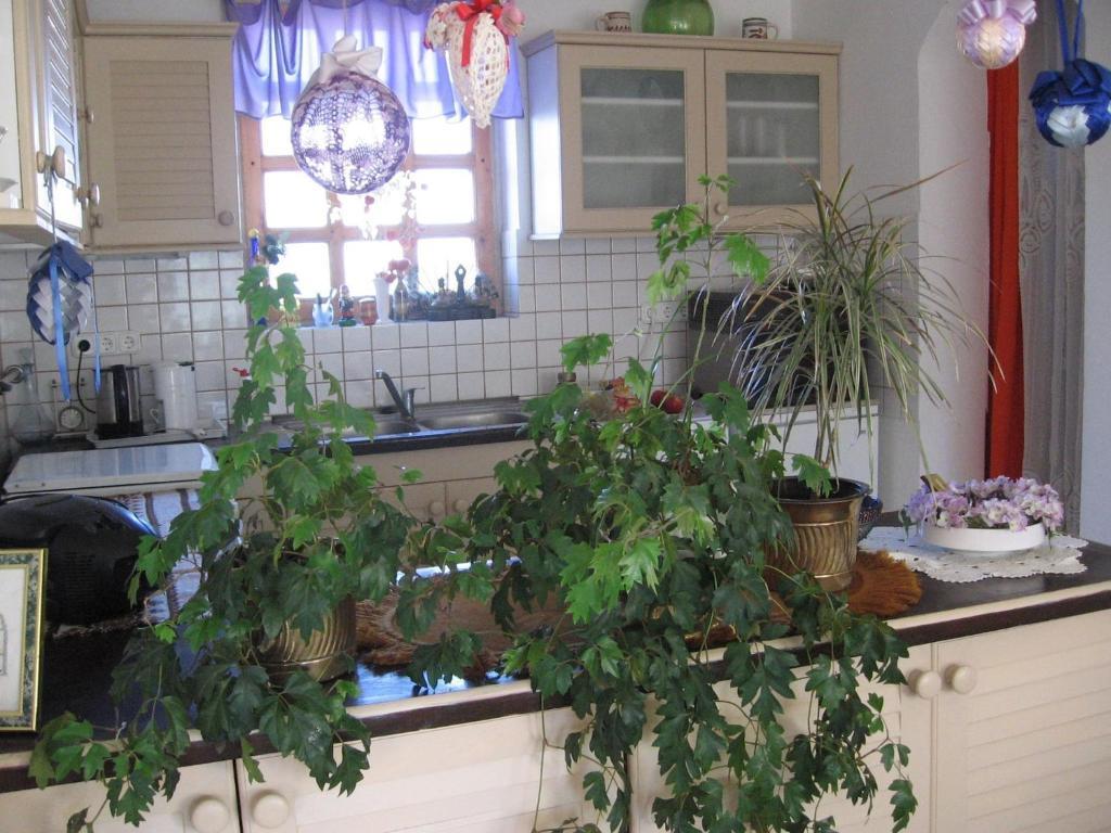 Pension Ovari Buk Room photo